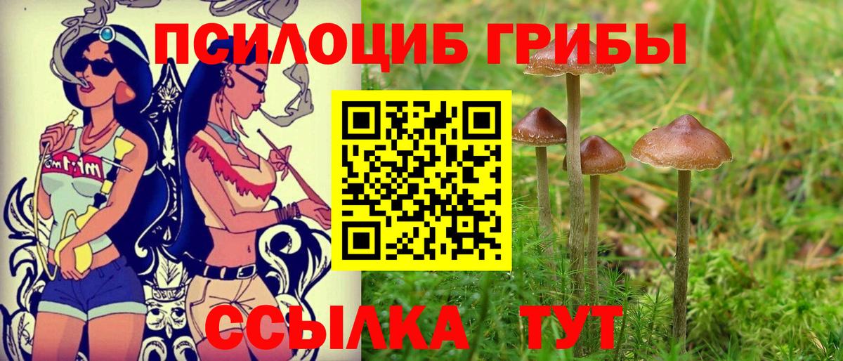 Псилоцибиновые грибы мухоморы Мичуринск