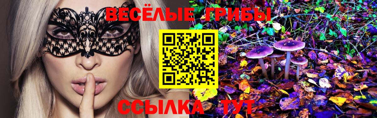 Псилоцибиновые грибы мухоморы  Вход с VPN  Мичуринск 